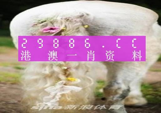 香港王中王开奖结果一肖中特;全面释义解释落实|最佳精选